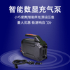 EAP-23 智能超级电动气泵